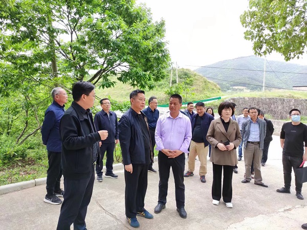 安庆市政协调研组来桐开展“推进镇村规划建设和管理”专题调研