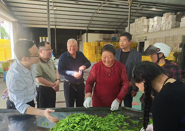 微信图片_20250624095202.jpg
