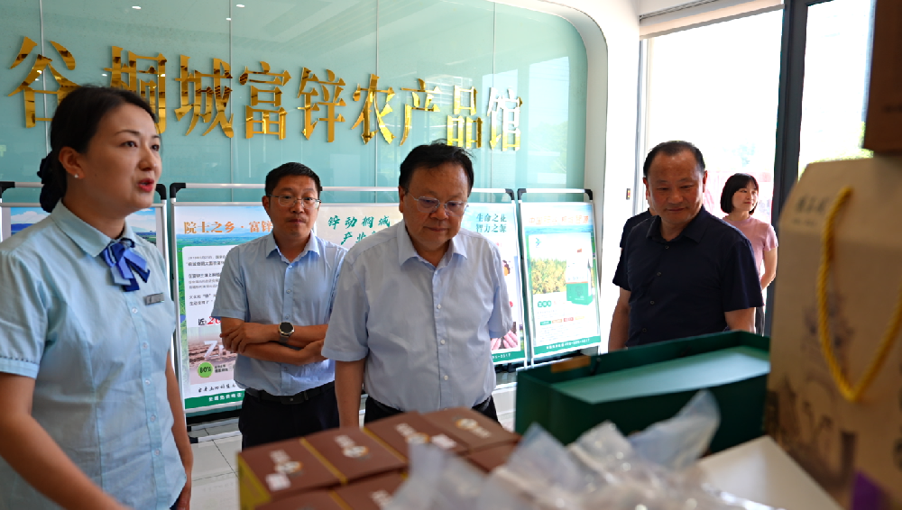 安庆市政协副主席周华斌率队来桐开展调研